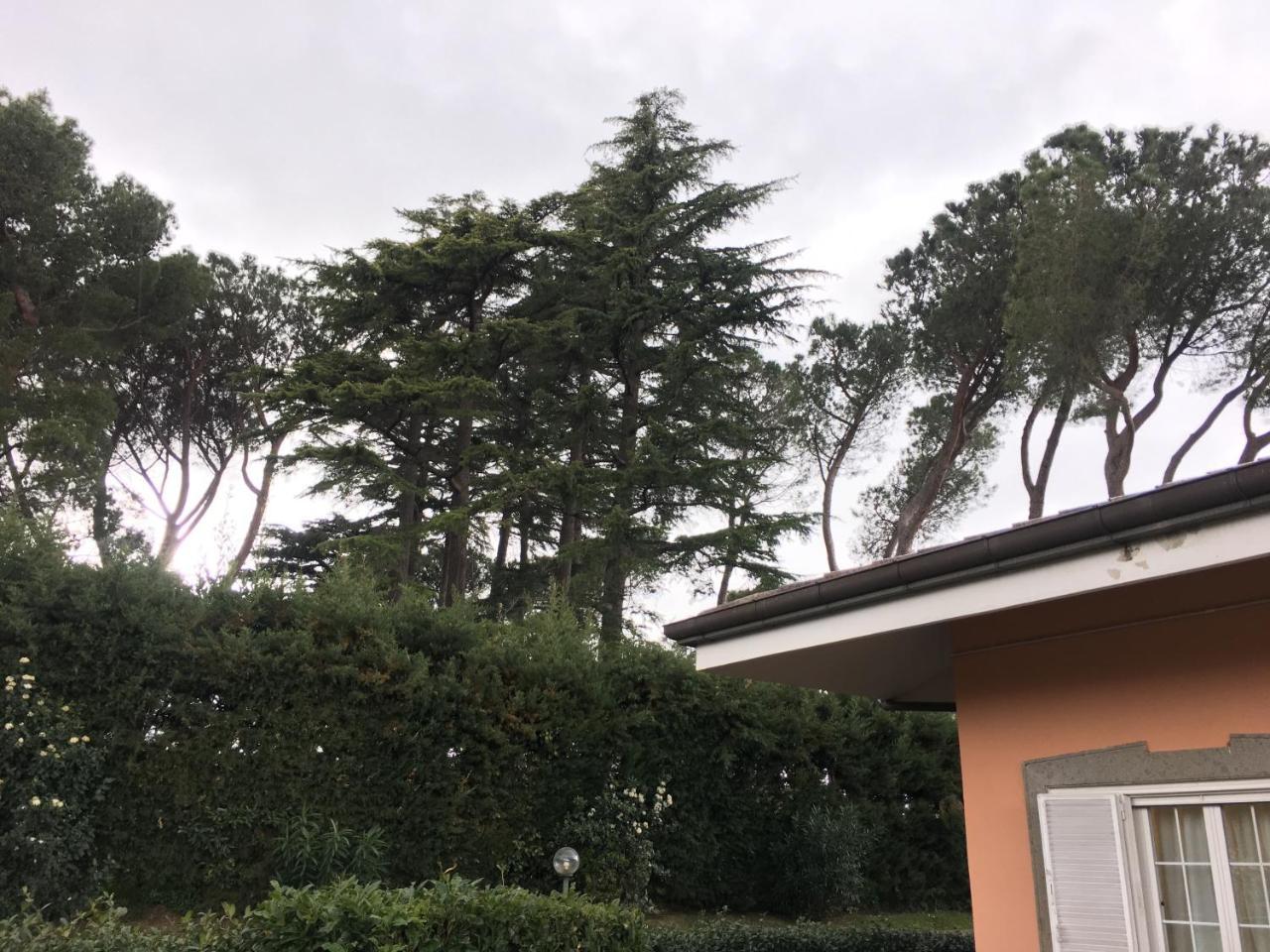 Villagio B&B Frascati Exterior photo